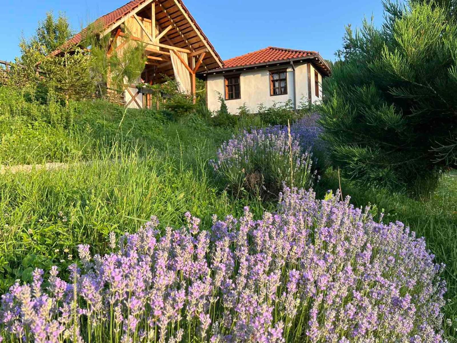 Traditional Cottage - Vila Samovila Delcevo Luaran gambar